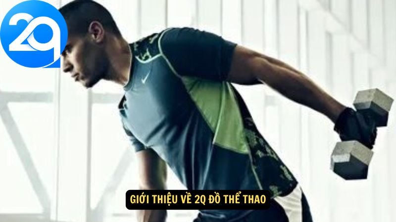 2Q Đồ Thể Thao – Thời Trang Năng Động Cho Mọi Hoạt Động 2 Giới thiệu về 2Q đồ thể thao