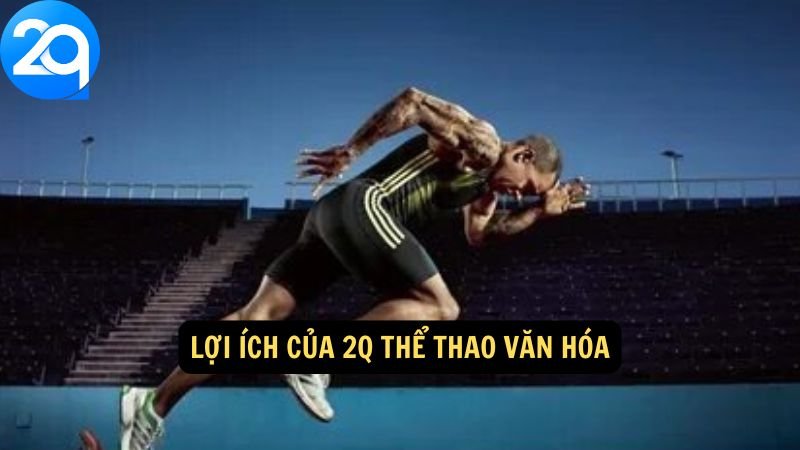 2q Thể Thao Văn Hóa - Sự Kiện Thể Thao & Văn Hóa Hấp Dẫn 3 Lợi ích của 2q thể thao văn hóa