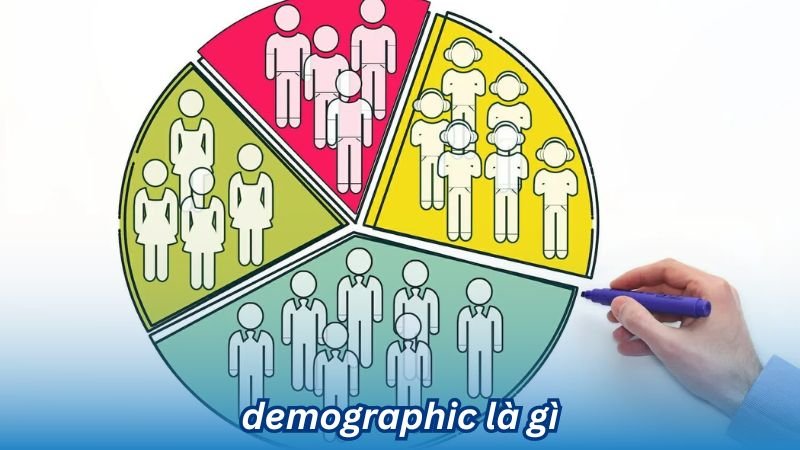 Hiểu rõ Demographic là gì và Vai trò của nó trong marketing 2 Demographic là gì